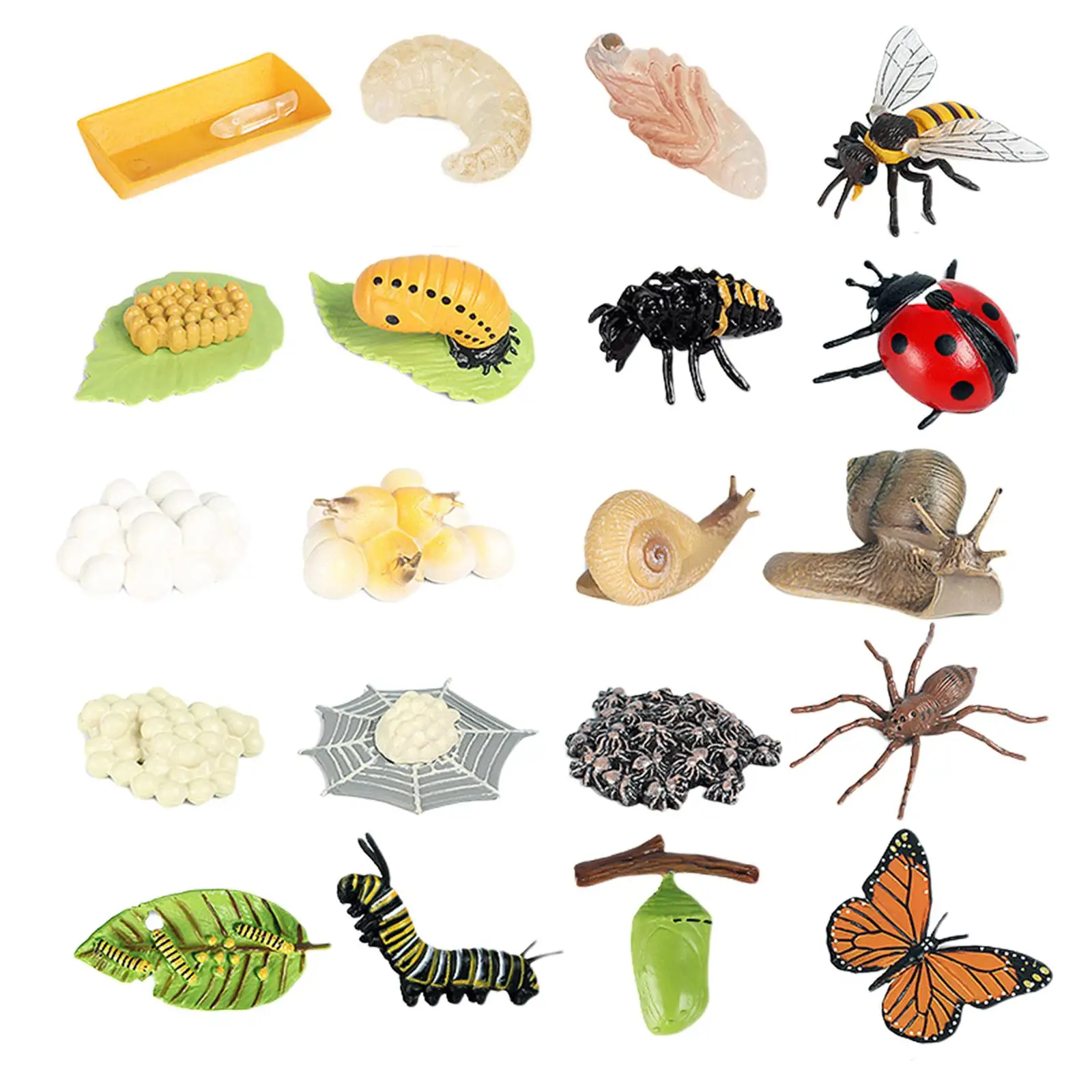 Insect Life Cycle Figurines Science Cognition Educational Toys School for Kids