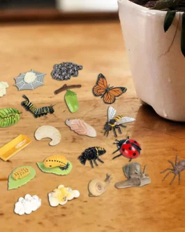 تماثيل دورة حياة الحشرات للأطفال ، الألعاب التعليمية ، العلوم ، الإدراك ، المدرسة 1