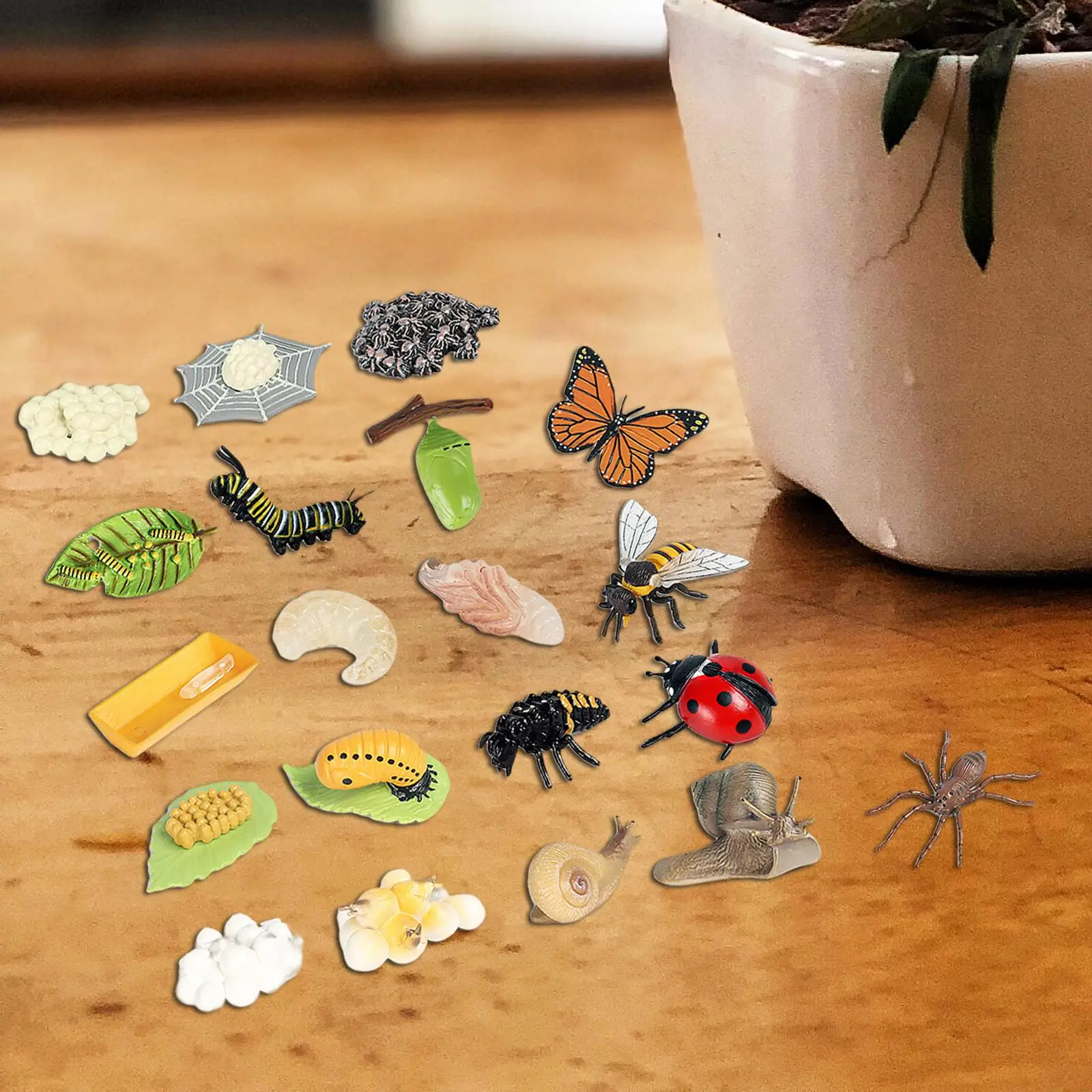 Insect Life Cycle Figurines Science Cognition Educational Toys School for Kids