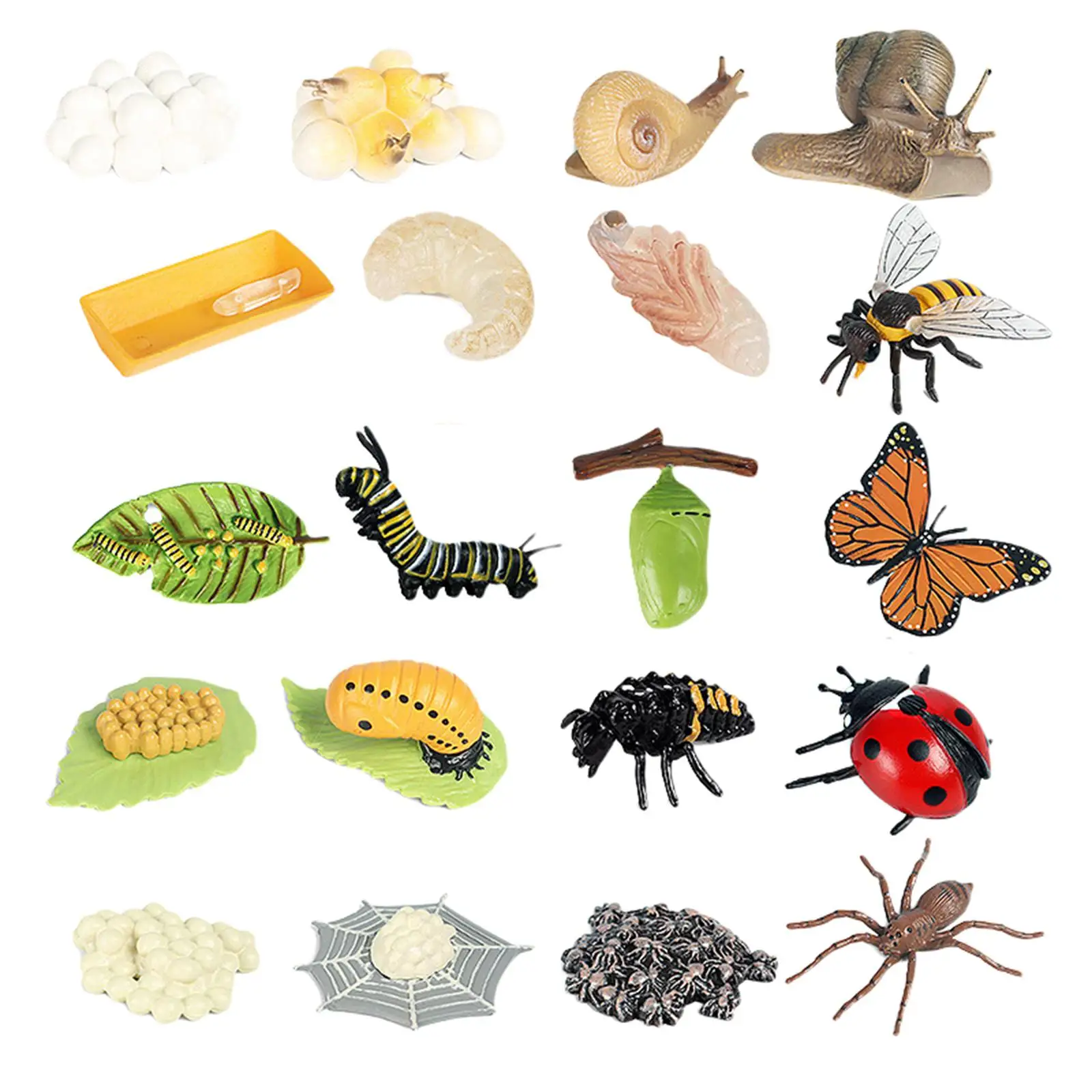 Insect Life Cycle Figurines Science Cognition Educational Toys School for Kids