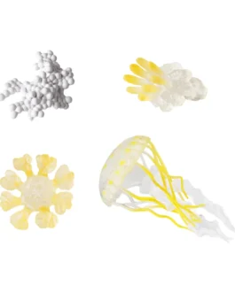 دورة حياة ألعاب قنديل البحر ، وسائل تدريس العلوم ، نمو الحيوانات ، الشخصيات التعليمية ، الحيوانات ، سن 3 إلى 6 سنوات 1